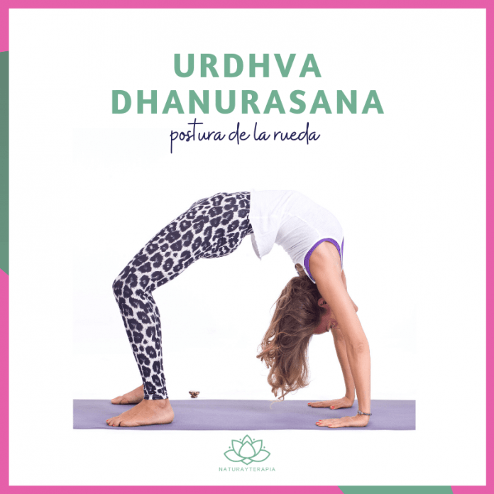 Urdhva Dhanurasana Postura de la rueda naturayterapia yoga - Natura y ...